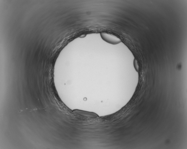 X0000116131012201001041007