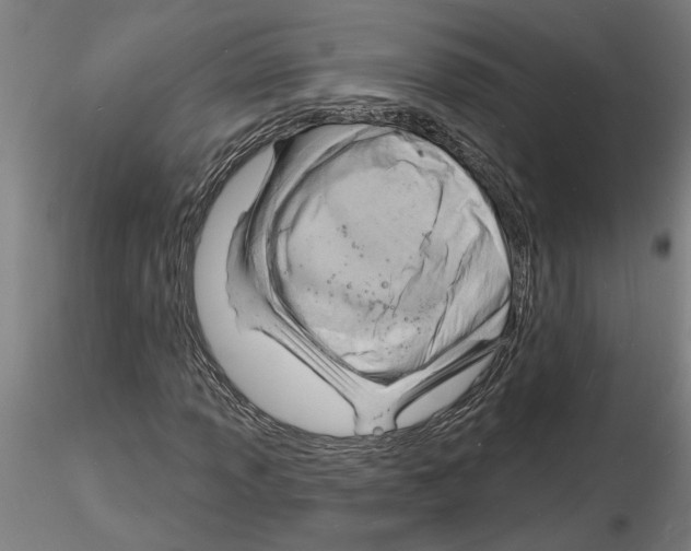 X0000116131013201001041007