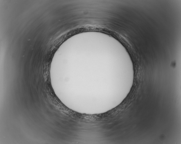 X0000116131015201001041007