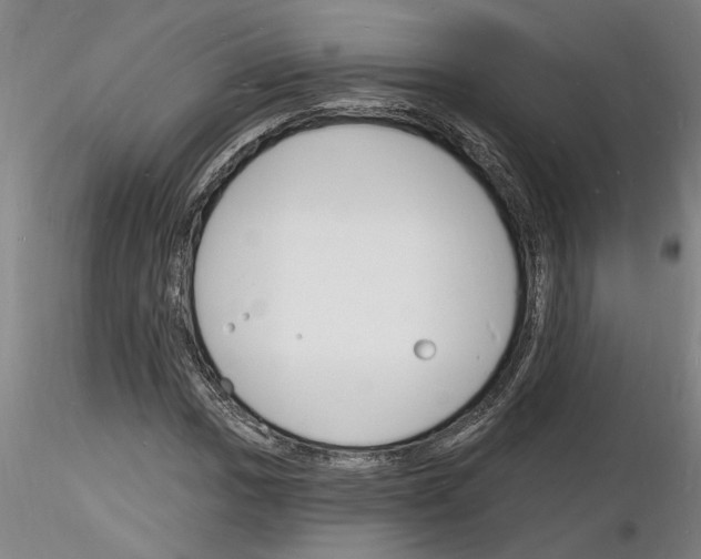 X0000116131017201001041007
