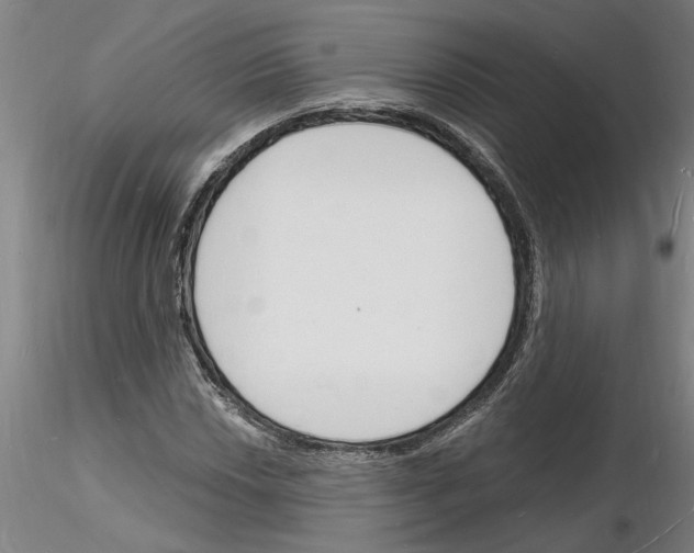 X0000116131018201001041007