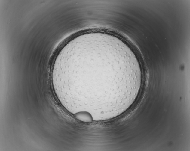 X0000116131021201001041007