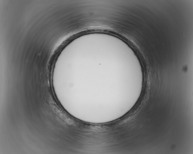 X0000116131022201001041007