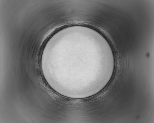 X0000116131023201001041007