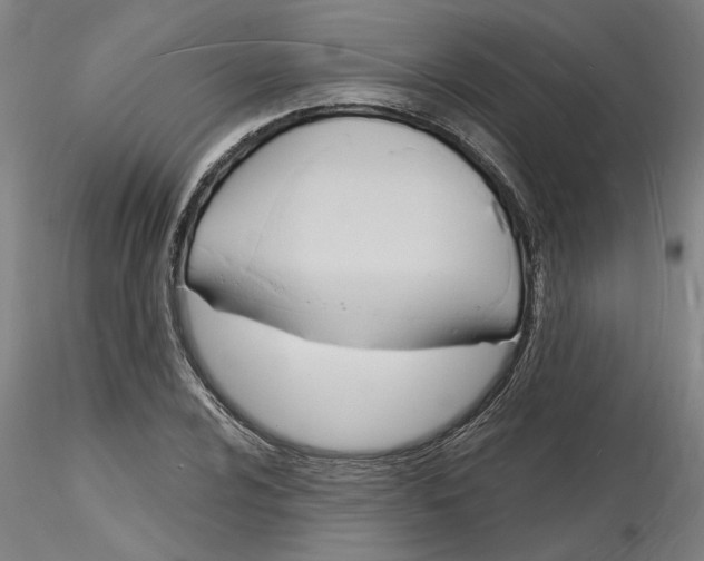 X0000116131024201001041007