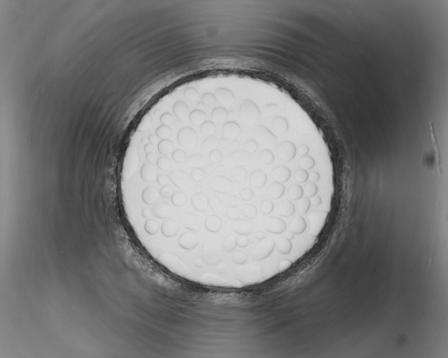 X0000116131025201001041007