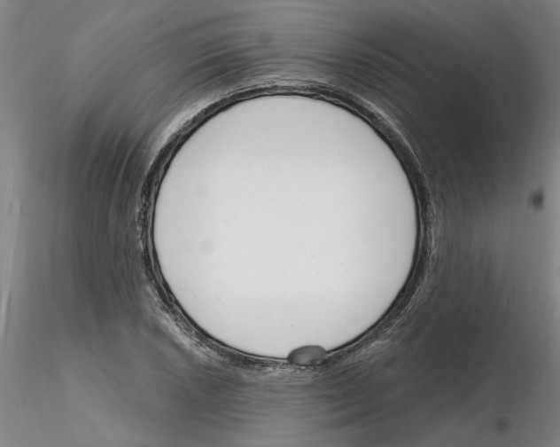 X0000116131026201001041007