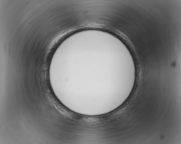 X0000116131027201001041007