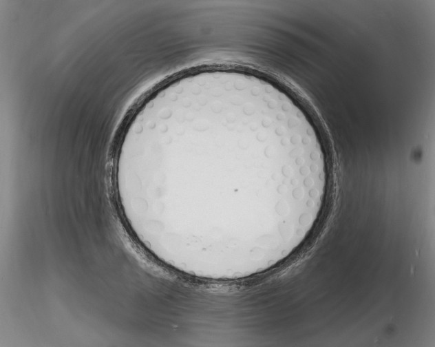 X0000116131029201001041007