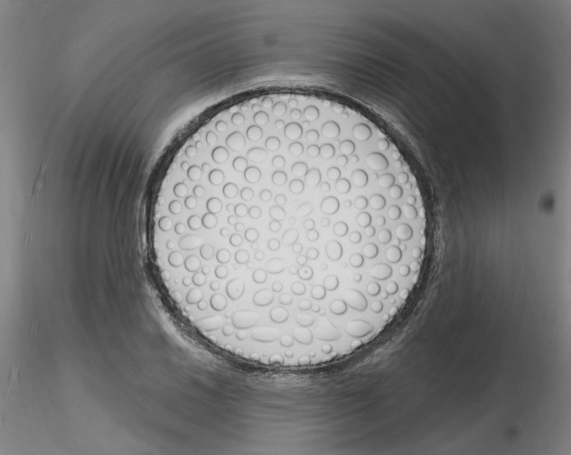 X0000116131030201001041007