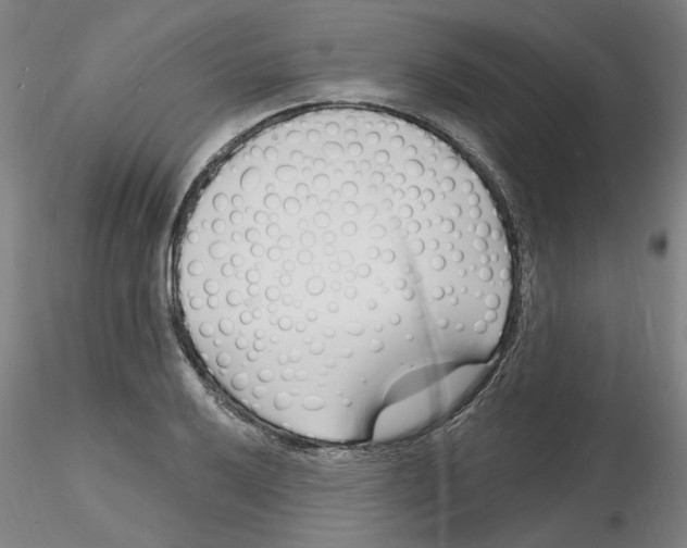 X0000116131032201001041007