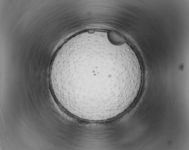 X0000116131033201001041007