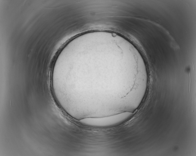 X0000116131035201001041007