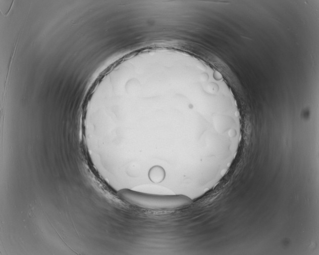 X0000116131036201001041007