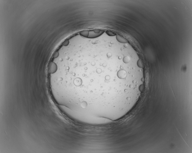 X0000116131039201001041007