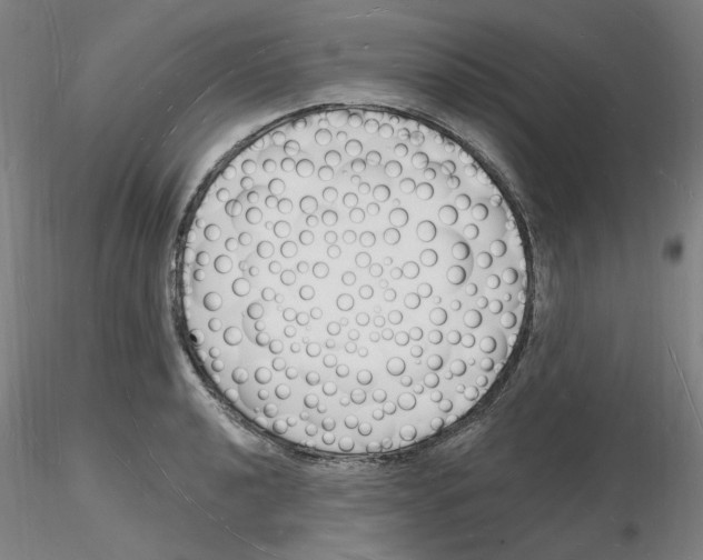 X0000116131040201001041007
