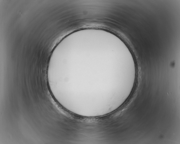 X0000116131041201001041007