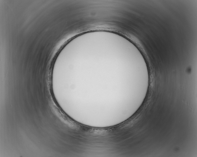 X0000116131043201001041007