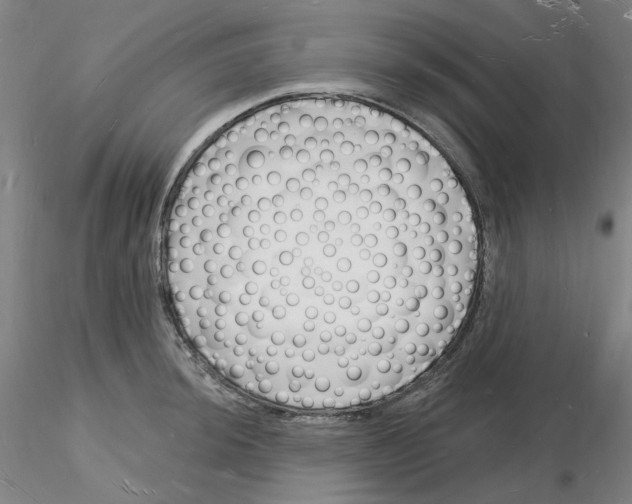 X0000116131044201001041007