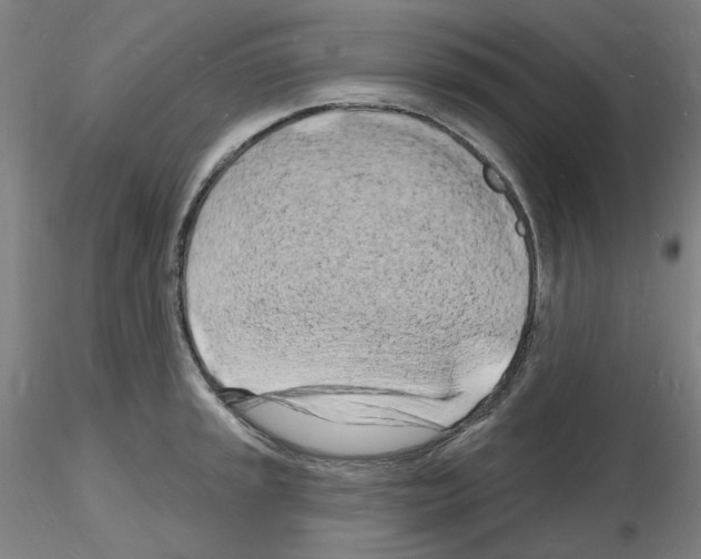 X0000116131045201001041007