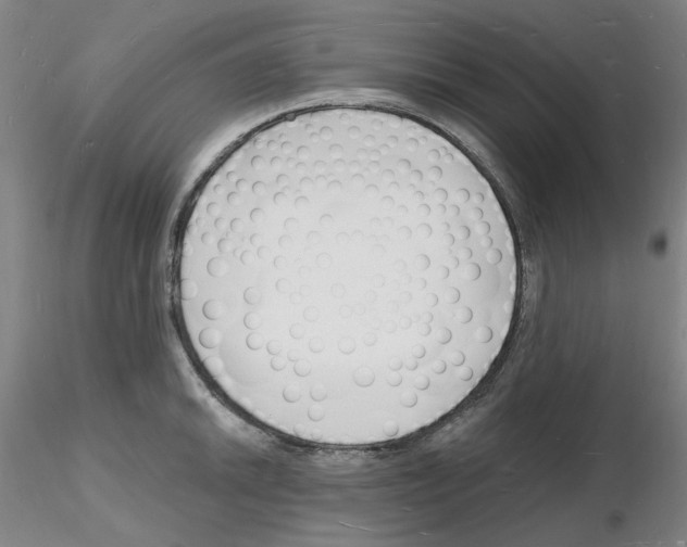 X0000116131046201001041007