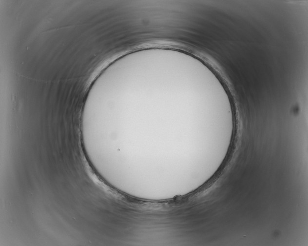X0000116131049201001041007