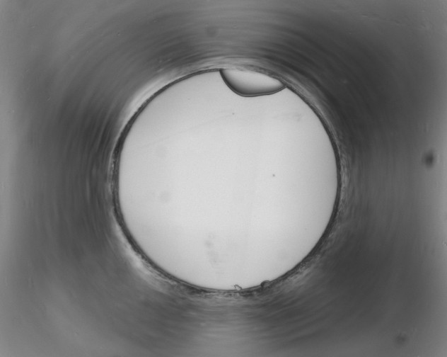 X0000116131050201001041007
