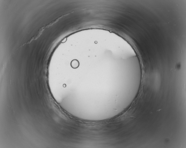 X0000116131051201001041007