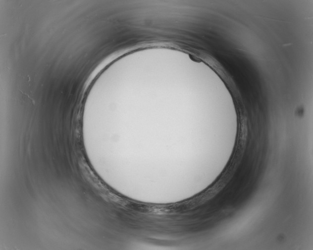 X0000116131052201001041007