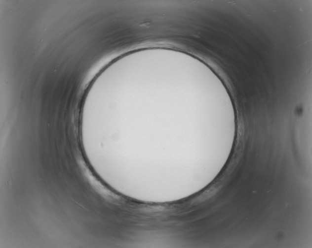 X0000116131054201001041007