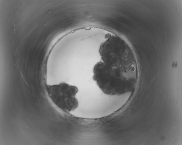 X0000116131056201001041007