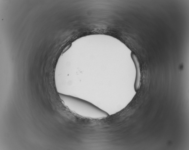 X0000116131057201001041007