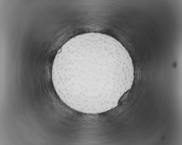 X0000116131058201001041007