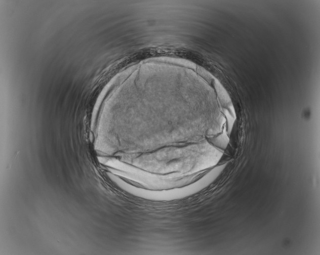 X0000116131060201001041007