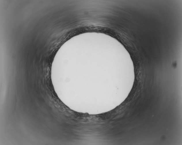 X0000116131061201001041007
