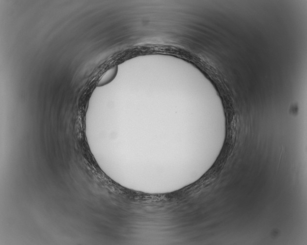 X0000116131062201001041007