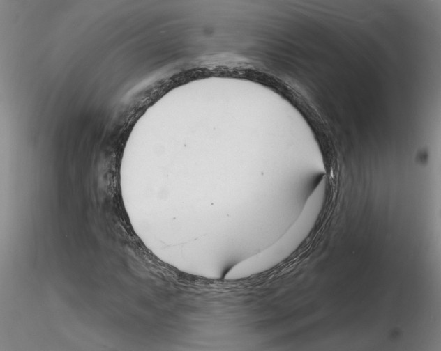 X0000116131063201001041007