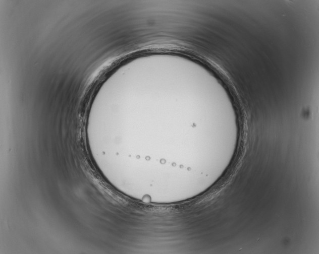 X0000116131067201001041007
