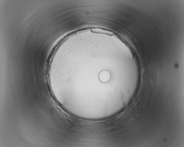 X0000116131068201001041007