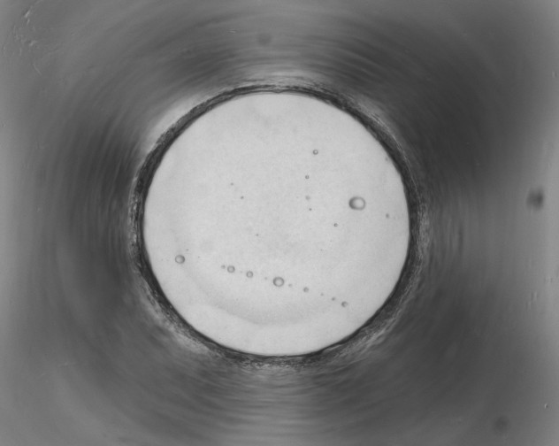 X0000116131071201001041007