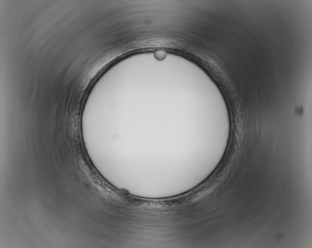 X0000116131073201001041006