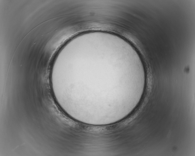 X0000116131074201001041006