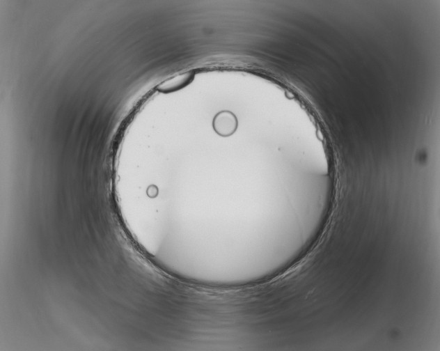 X0000116131075201001041006