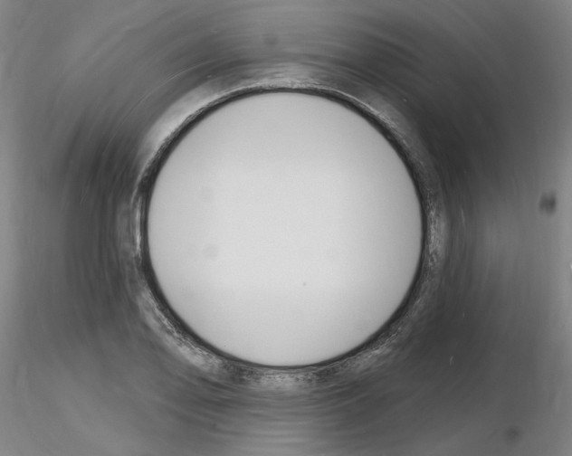 X0000116131078201001041006