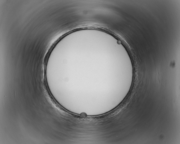 X0000116131079201001041006