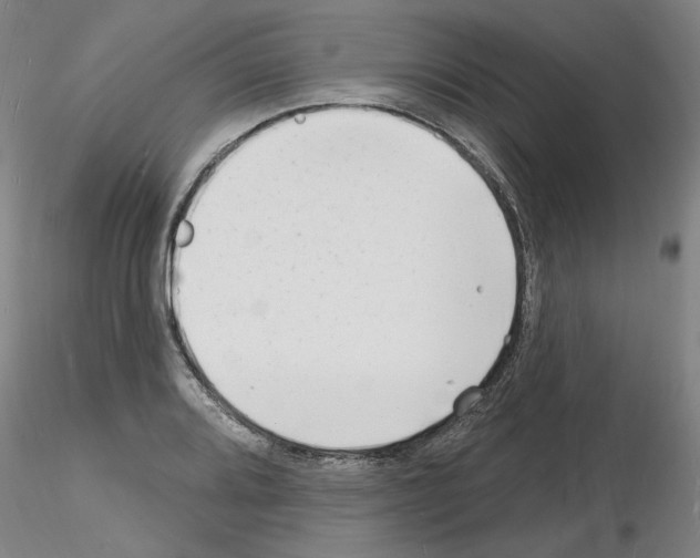 X0000116131080201001041006