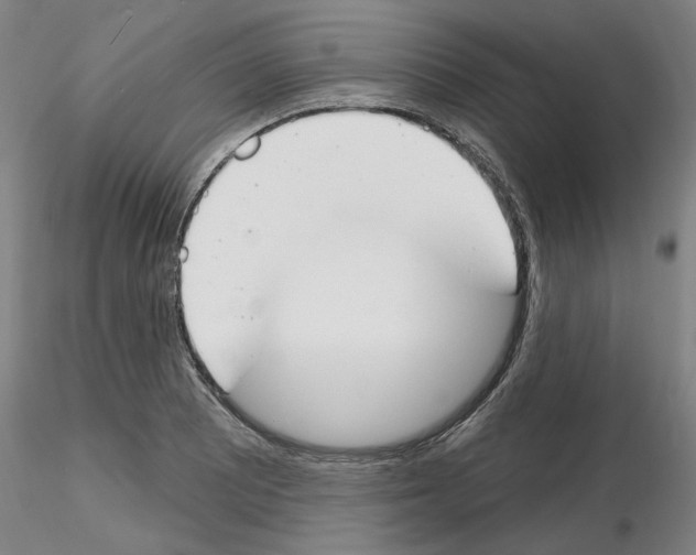 X0000116131081201001041006