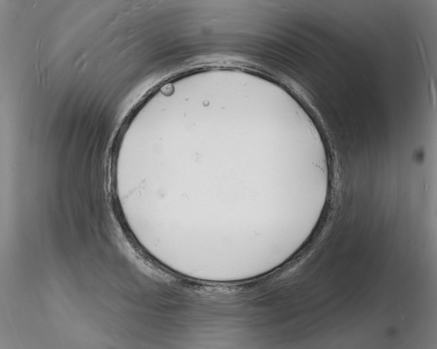 X0000116131082201001041006