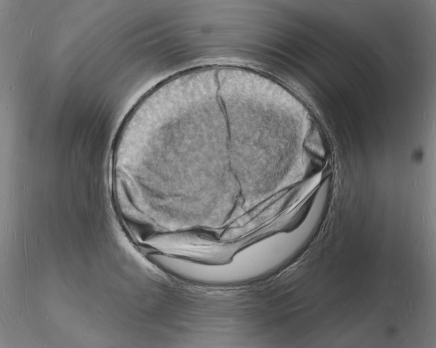 X0000116131084201001041006