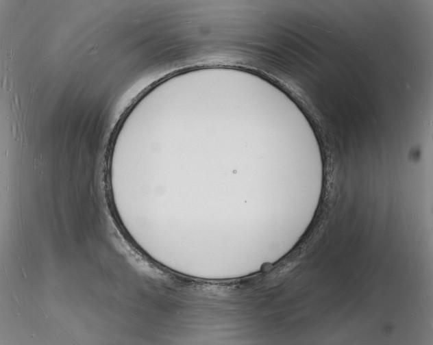 X0000116131086201001041006